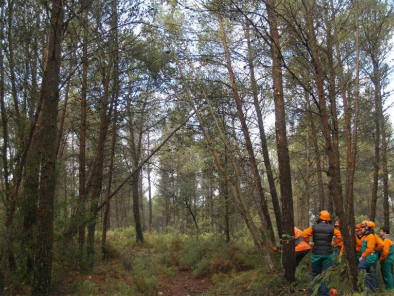 La hectárea de monte perfecta 