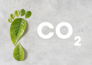 Abierta la convocatoria para participar en el Calendario Ambiental