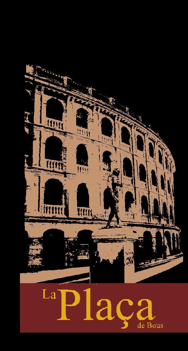 La plaça de bous