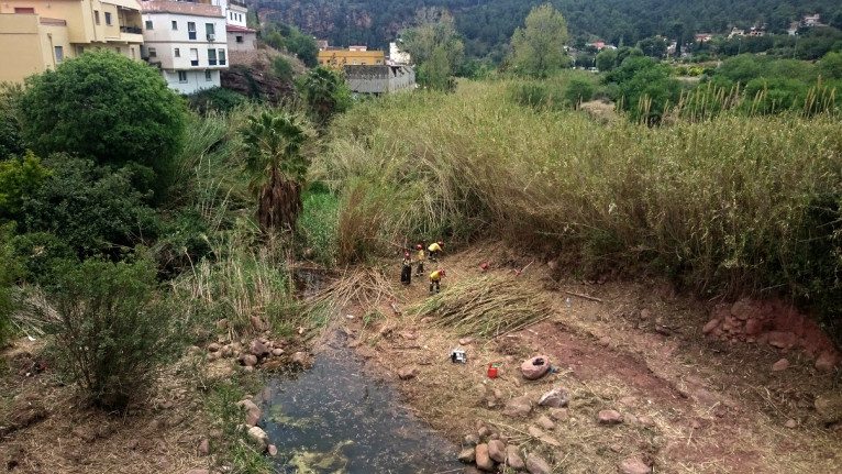 Las brigadas de Divalterra acondicionan el barranco de Carraixet en Olocau