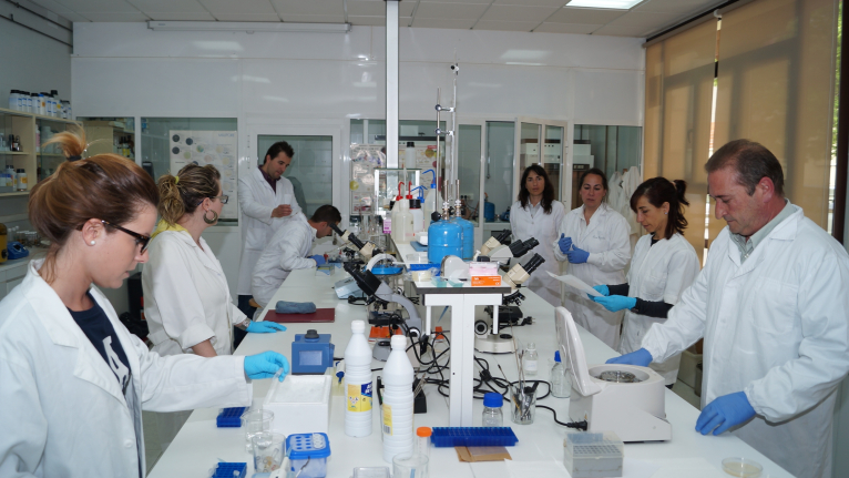 Un estudio sobre el ADN de los viñedos de Requena descarta la presencia de virus