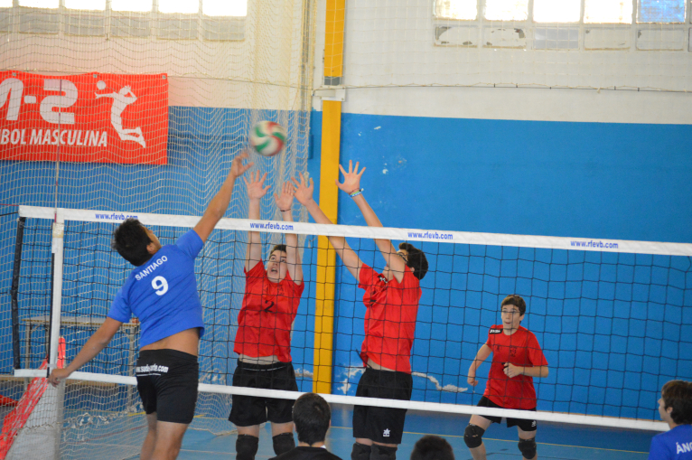 El Xàtiva Voleibol supera al CV Almoradí y asciende a la categoría de plata